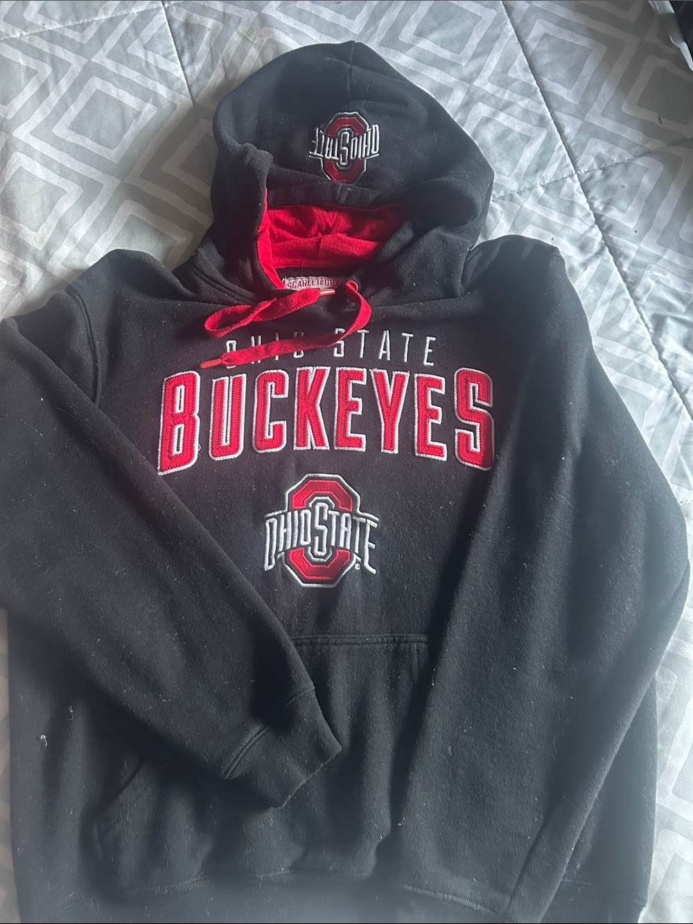 THE Ohio State black hoodie